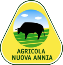 Chi siamo